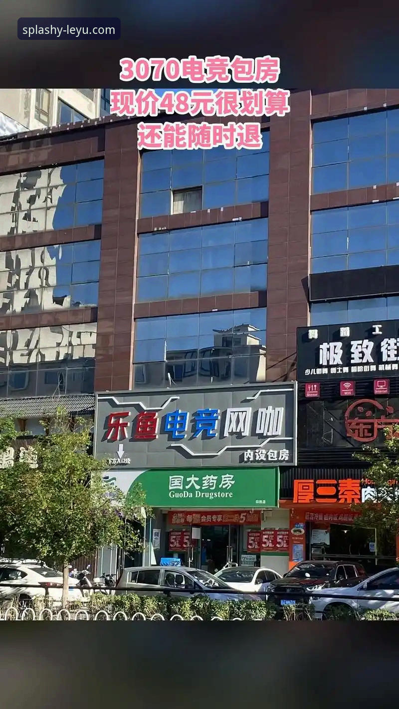 乐鱼电竞赛事 揭秘乐鱼电竞赛事平台:v3.2.1版本背后的竞技生态与用户真实体验